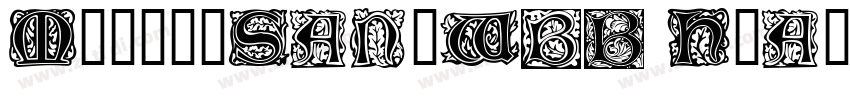 MorrisSansW01 Heavy字体转换